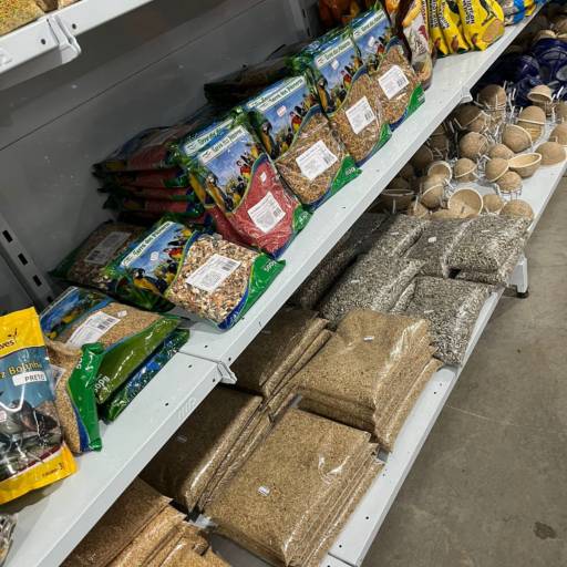 Grãos para aves por Animais & Cia
