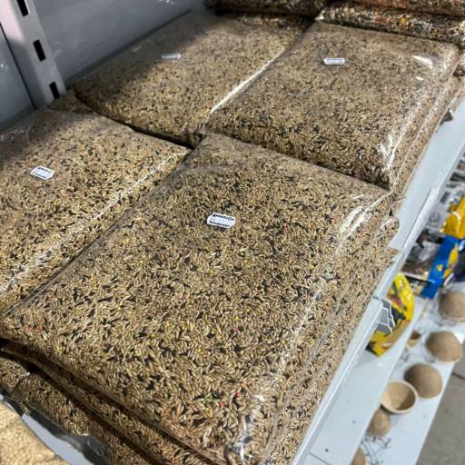 Grãos para aves por Animais & Cia