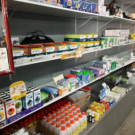 Medicamentos para animais  por Animais & Cia