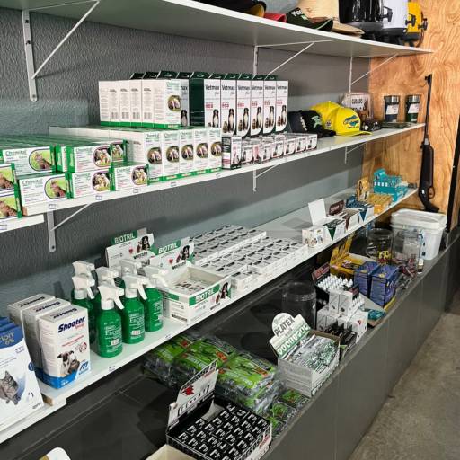 Medicamentos para animais  por Animais & Cia