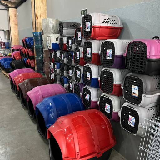 Caixas de transporte 