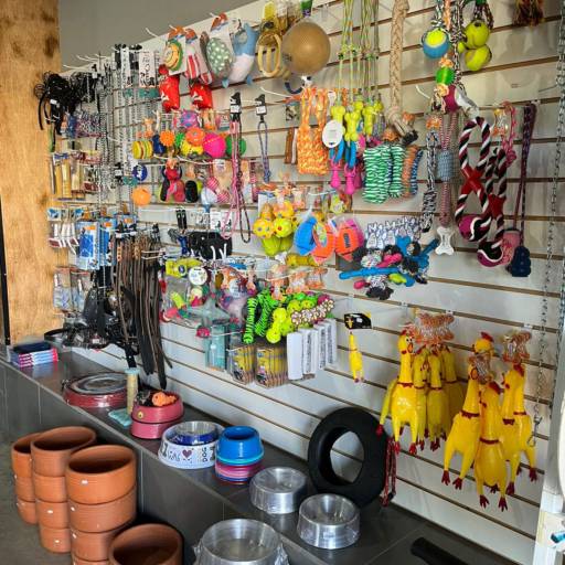 Brinquedos para pet