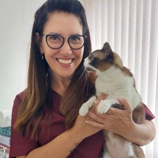 Consultas Veterinárias On-line