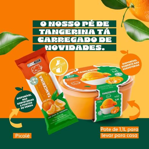 O sabor Tangerina agora está disponível nas versões pote e picolé.  