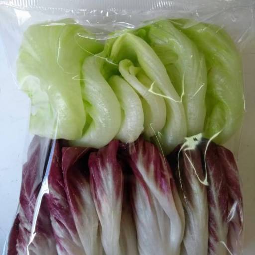 Verduras Higienizadas - Frescor e praticidade para sua alimentação saudável - São José dos Campos