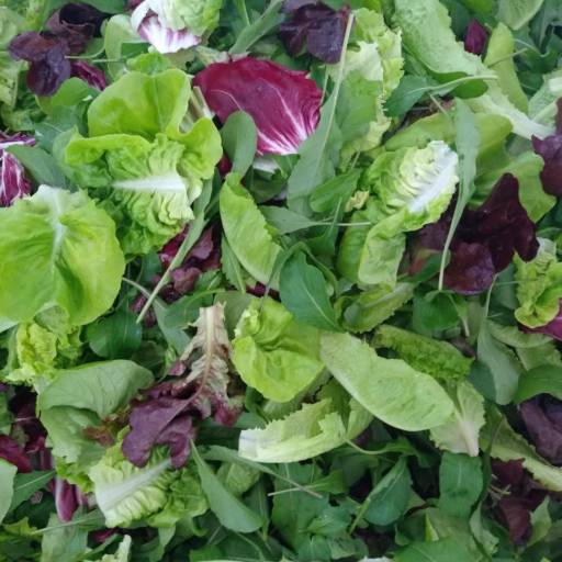 Verduras Higienizadas - Frescor e praticidade para sua alimentação saudável - São José dos Campos por Consumo Verde