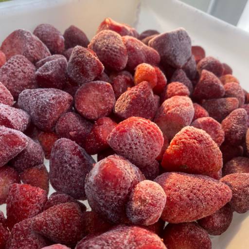 Frutas Congeladas - Frescor e praticidade para suas receitas - São José dos Campos por Consumo Verde
