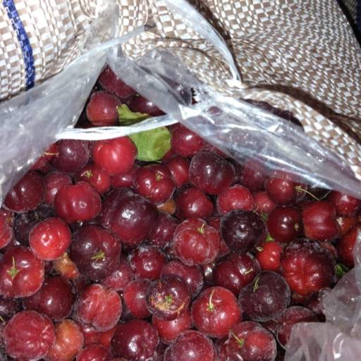 Frutas Congeladas - Frescor e praticidade para suas receitas - São José dos Campos por Consumo Verde