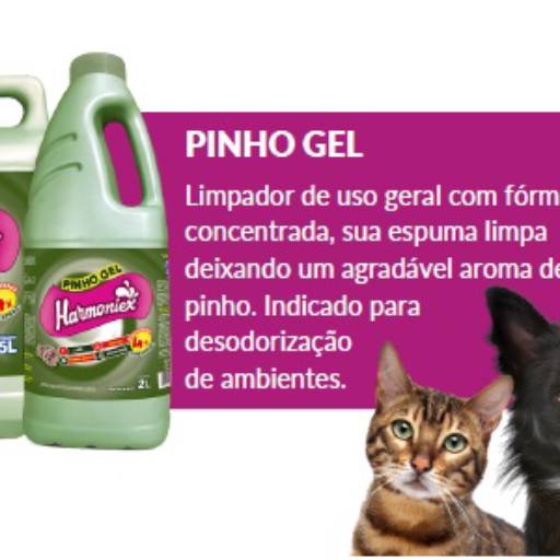 Pinho Gel - Limpeza Profunda - São Carlos/SP por WF Distribuidora de Materiais de Limpeza e Descartáveis