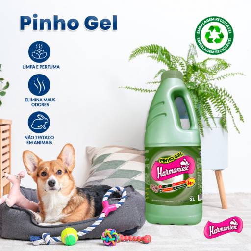  Pinho Gel - Limpeza Profunda - São Carlos/SP por WF Distribuidora de Materiais de Limpeza e Descartáveis