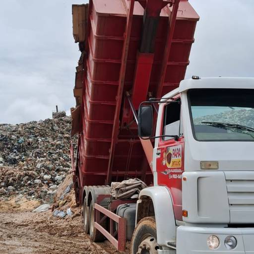 Coleta de Lixo Orgânico - Soluções Sustentáveis para Petrolina, PE