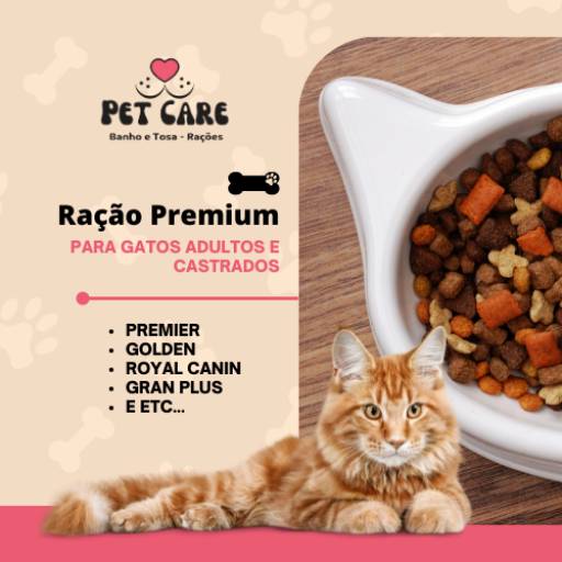 Comprar o produto de Ração de Qualidade para Gatos em Itapetininga em Ração para Gatos pela empresa Pet Care em Itapetininga, SP por Solutudo