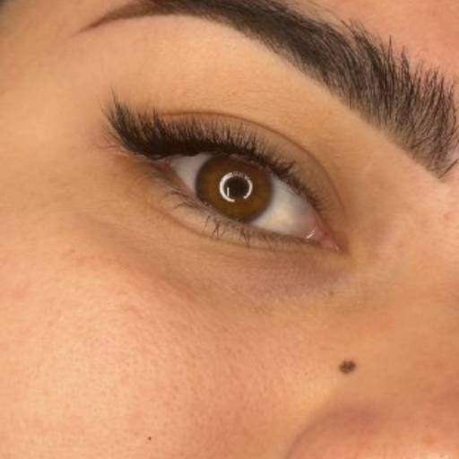 Fox light por Studio Jéssica Maira (Alongamento de cílios) 