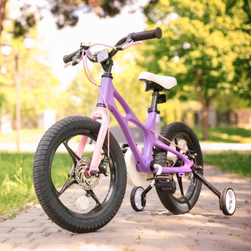Comprar o produto de Bicicletas infantis em Bicicletas Infantis pela empresa Cabral Bike Service em Mineiros, GO por Solutudo