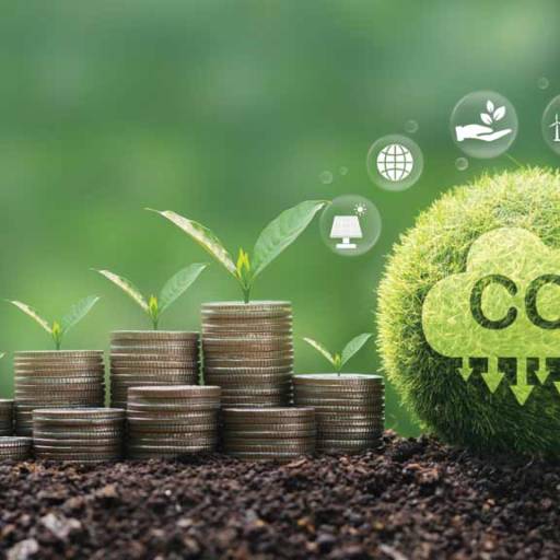 Certificação de créditos de carbono por SFX Solar -  Japienergy