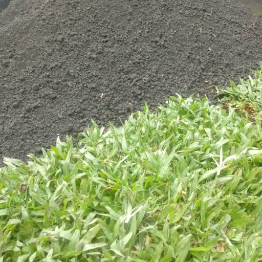 Promoção de Grama São Carlos por Grameira Rocha