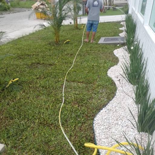 Promoção de Grama São Carlos por Grameira Rocha