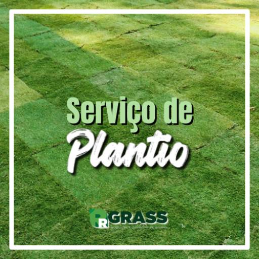 Comprar o produto de Serviços de Plantio de Grama  em Grameiras pela empresa RR Grass em Itapetininga, SP por Solutudo