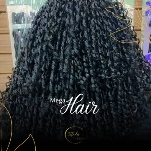 Comprar o produto de Mega Hair  em Profissionais de Beleza pela empresa Studio Toledo  em Itapetininga, SP por Solutudo