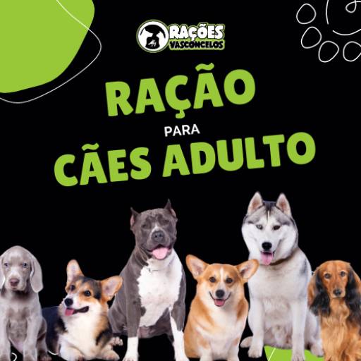 Comprar o produto de Ração para Cães Adulto  em Ração para Cachorros pela empresa Rações Vasconcelos em Itapetininga, SP por Solutudo