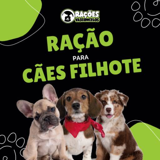 Comprar o produto de Rações para Cães filhote em Ração para Cachorros pela empresa Rações Vasconcelos em Itapetininga, SP por Solutudo