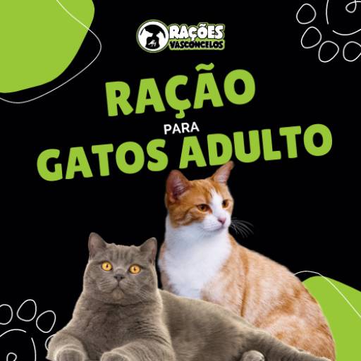 Comprar o produto de Rações para Gato Adulto e Castrado  em Ração para Gatos pela empresa Rações Vasconcelos em Itapetininga, SP por Solutudo