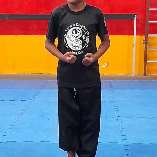 Kung fu infantil em Bauru por Associação Tigres e Dragões