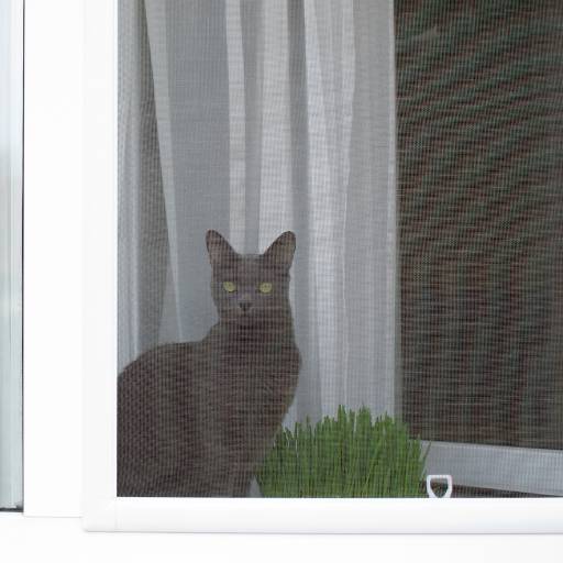 Tela mosqueteira para pet por Max Telas Mosquiteiras (Fábrica) - Grupo MaxUtilidades