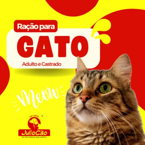 Comprar o produto de Ração para Gatos Adulto e Castrado em Ração para Gatos pela empresa JulioCão em Itapetininga, SP por Solutudo