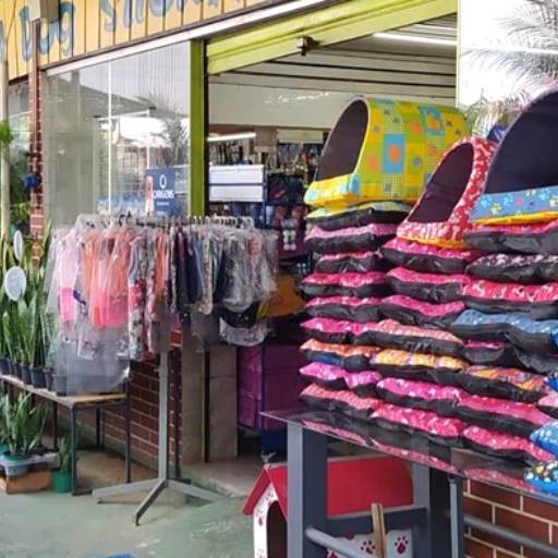 Ração a Granel para Cães - Qualidade e Economia - São Paulo, SP