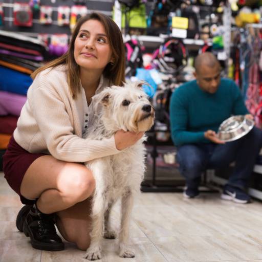 Seu Pet Shop de Confiança na Penha de França - São Paulo, SP