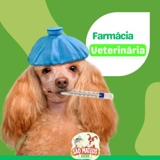 Comprar o produto de Farmácia Veterinária em Farmácias Veterinárias pela empresa São Mateus Agro em Itapetininga, SP por Solutudo