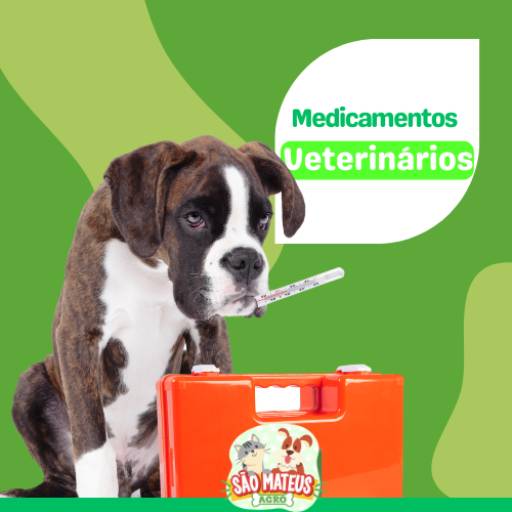 Comprar o produto de Medicamentos Veterinários em Medicamentos Veterinários pela empresa São Mateus Agro em Itapetininga, SP por Solutudo
