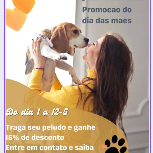 Comprar o produto de Promoção de Dia das Mães em Ofertas pela empresa Hotel da Vivi Hotel para Cachorros e Hotel para Gatos em Atibaia em Atibaia, SP por Solutudo