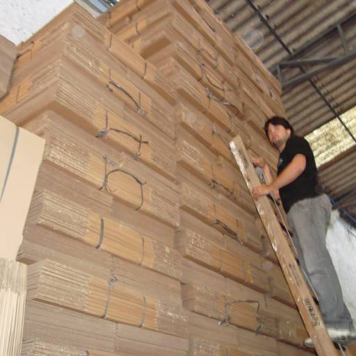 Caixas de Papelão Seminovas - Uma Opção Sustentável e Econômica para suas Necessidades de Embalagem - Rio de Janeiro em Rio de Janeiro, RJ por Arca das Caixas Embalagens de Papelão & Plástico Bolha - Empresa de Embalagens e Plastico Bolha