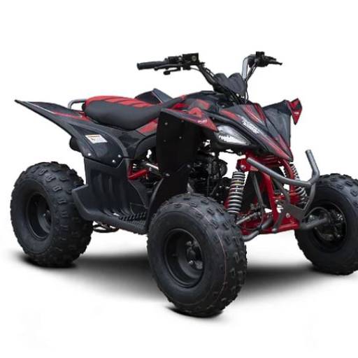 Comprar o produto de Mecânica de Quadriciclo em Oficinas de Motos pela empresa TR Motors em Botucatu, SP por Solutudo