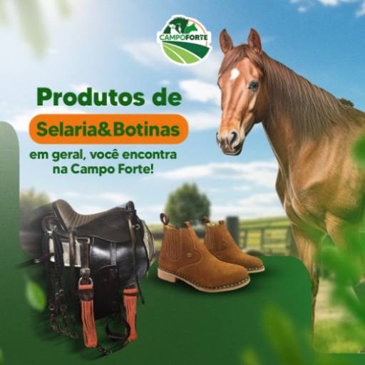 Comprar o produto de Botina em Produtos Agropecuários pela empresa Campo Forte Agropecuária em Botucatu, SP por Solutudo