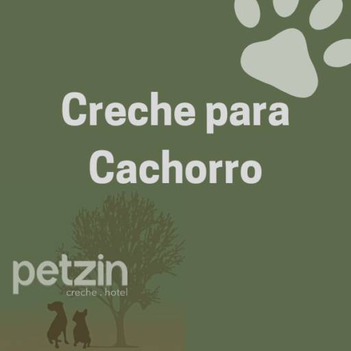Comprar a oferta de Creche para Cachorro em Itapetininga em Hoteis para Cães pela empresa Petzin Creche - Hotel em Itapetininga, SP por Solutudo