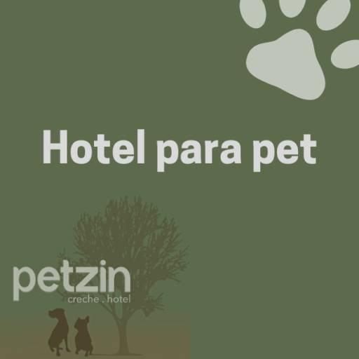 Comprar o produto de Hotel para pet em Hoteis para Cães pela empresa Petzin Creche - Hotel em Itapetininga, SP por Solutudo