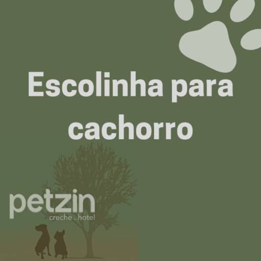 Escolinha para Cachorro em Itapetininga