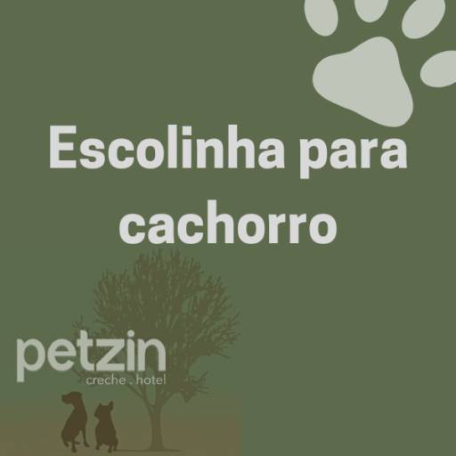 Comprar o produto de Escolinha para Cachorro em Itapetininga em Hoteis para Cães pela empresa Petzin Creche - Hotel em Itapetininga, SP por Solutudo