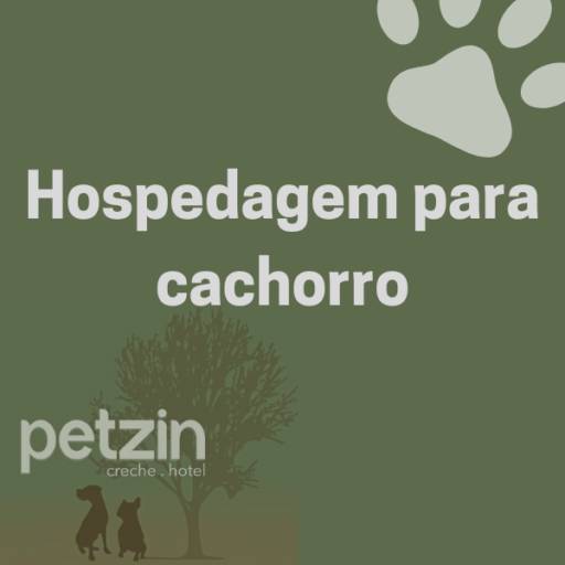Comprar o produto de Hospedagem para Cachorro em Itapetininga em Hoteis para Cães pela empresa Petzin Creche - Hotel em Itapetininga, SP por Solutudo