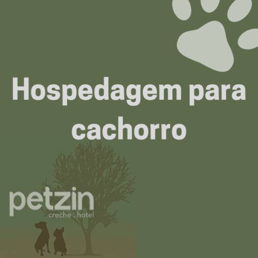 Hospedagem para Cachorro em Itapetininga