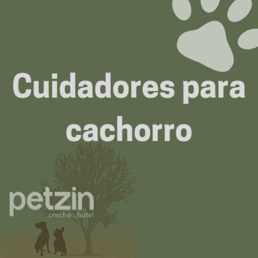  Cuidadores para Cachorro em Itapetininga por Petzin Creche - Hotel
