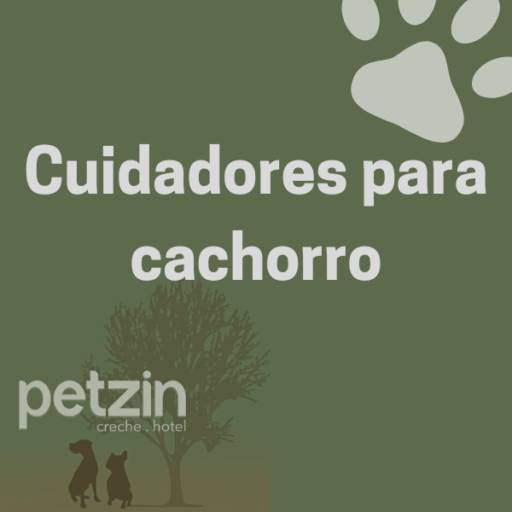  Cuidadores para Cachorro em Itapetininga
