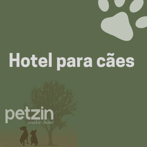 Comprar a oferta de Hotel para Cães em Itapetininga em Hoteis para Cães pela empresa Petzin Creche - Hotel em Itapetininga, SP por Solutudo