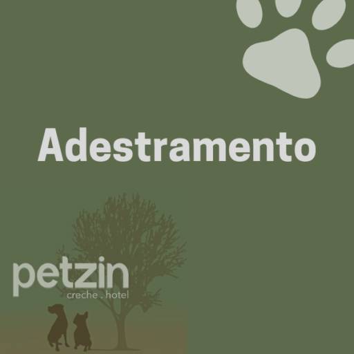 Comprar o produto de Adestramento para Cachorro em Adestramento pela empresa Petzin Creche - Hotel em Itapetininga, SP por Solutudo