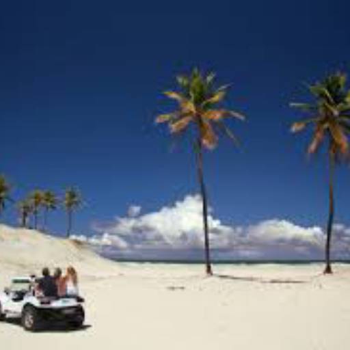 Praia do Saco Com Visita a Lagoa dos Tambaquis