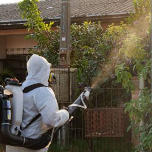 Controle de Mosquito Aedes aegypti/Mosquito da Dengue - Proteção Contra Epidemias - Barueri