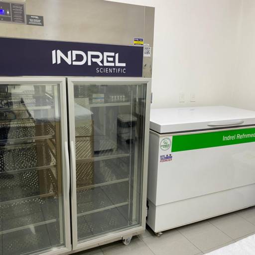 Conservador de Vacinas - Garantia de Armazenamento Adequado em São José do Rio Preto por Refrigeração Refri - Técnica
